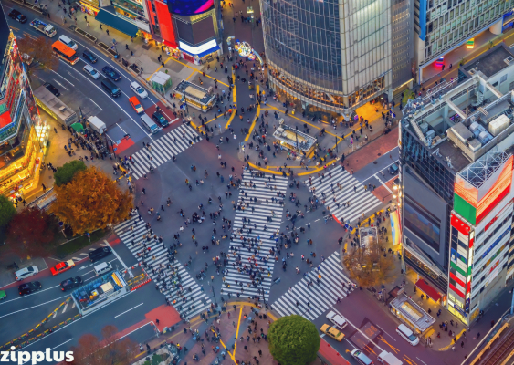 Tổng quan học lái xe ô tô hạng B2 từ A-Z　(test)